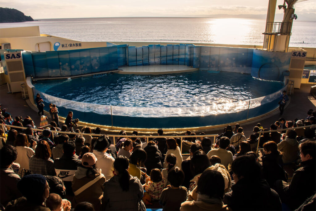 Enoshima Aquarium