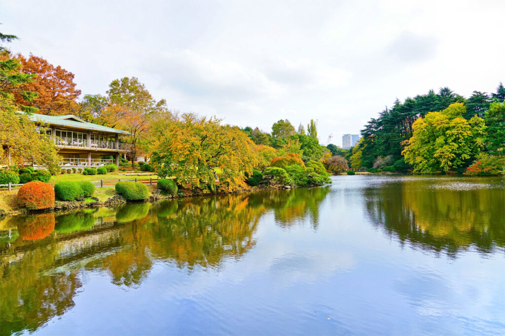 Shinjuku Gyoen National Gardens