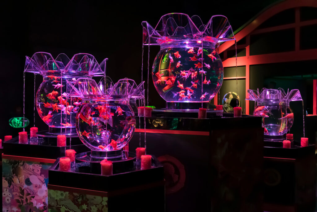 Best things to do in Tokyo