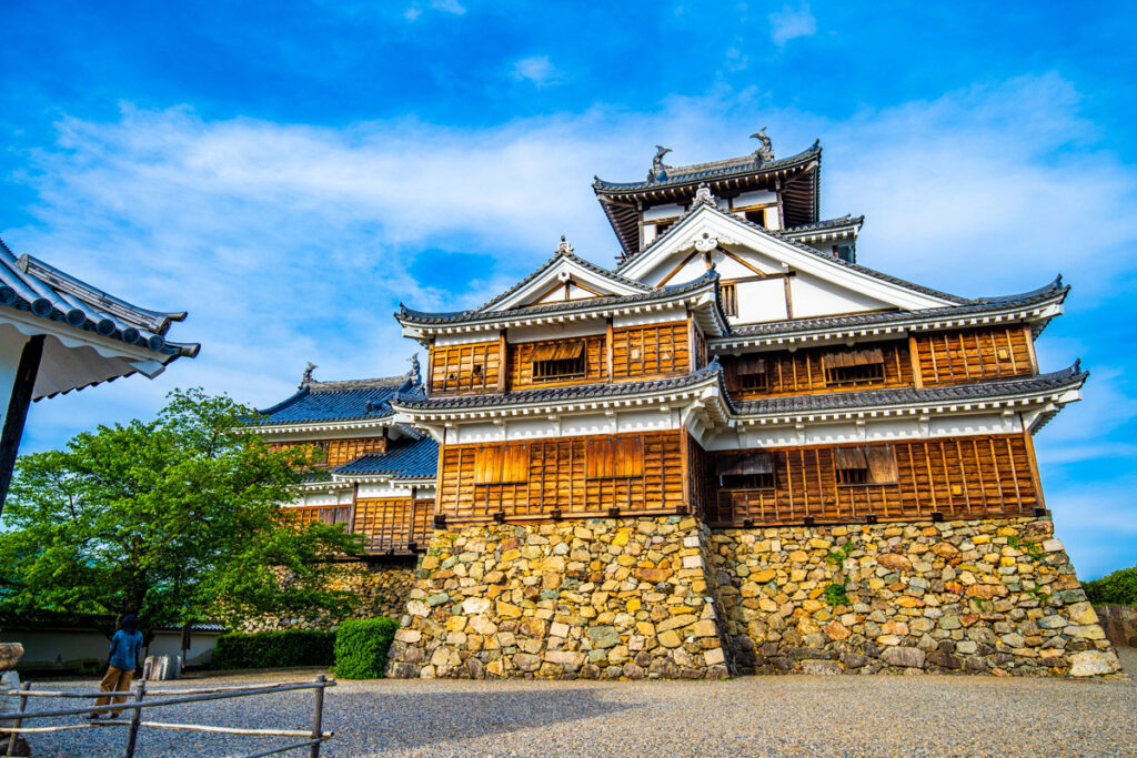 Fukuchiyama castle