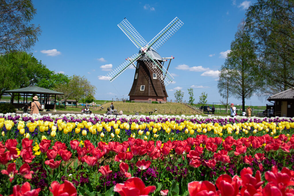 things to do in chiba japan