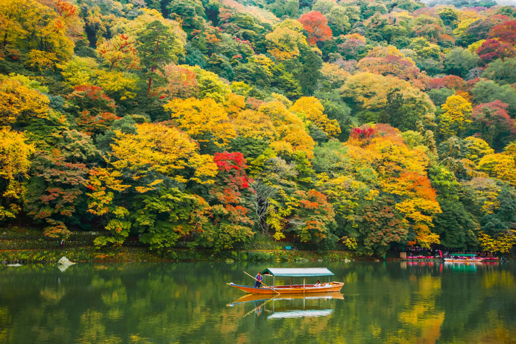 Things to do in Kyoto