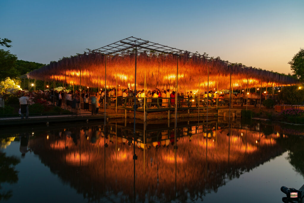 Things to Do in Tochigi